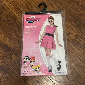 Powerpuff Girls Costume- Blossom